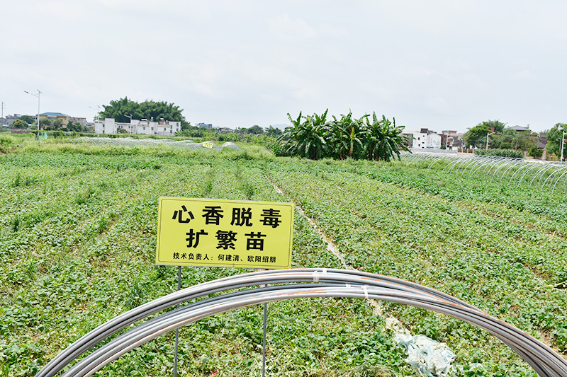 基地展示